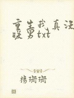 重生我真没想当暖男txt