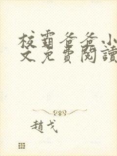 校霸爸爸小说全文免费阅读