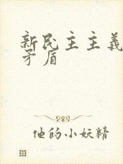 新民主主义革命矛盾