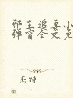 邪王追妻小说无弹窗全文免费阅读