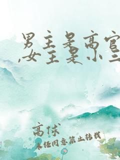 男主是高官已婚,女主是小三的小说