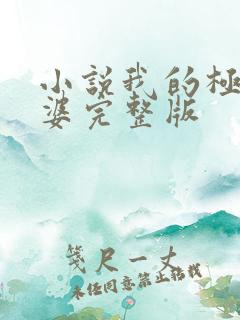 小说我的极品老婆完整版