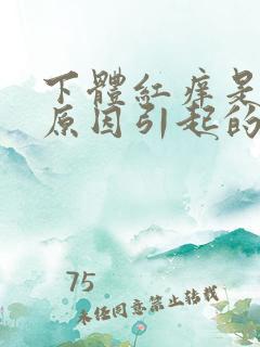 下体红痒是什么原因引起的