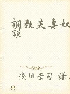 调教夫妻奴的小说