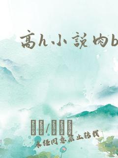 高h小说肉bl