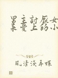 男主讨厌女主后来爱上的小说