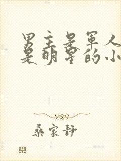 男主是军人女主是明星的小说