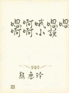 嗯啊哦嗯嗯啊哦啊啊小说