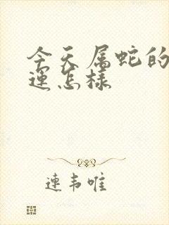 今天属蛇的人财运怎样