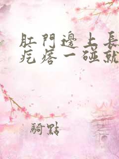 肛门边上长一个疙瘩一碰就疼