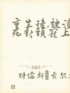 重生后,被渣男死对头宠上天