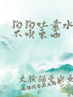 狗狗吐黄水拉稀不吃东西