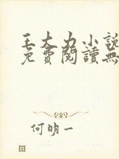 王大力小说小说免费阅读无弹窗