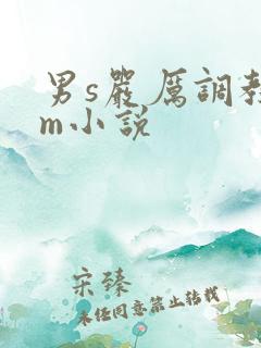 男s严厉调教女m小说