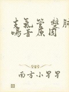 支气管 双肺哮鸣音原因