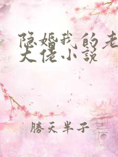 隐婚我的老公是大佬小说