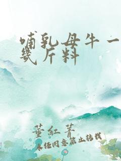 哺乳母牛一天喂几斤料