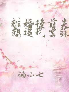 离婚后前夫总是想追我云苏