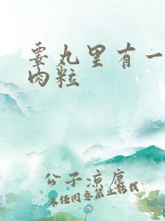 睾丸里有一个硬肉粒