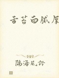 舌苔白腻厚治疗