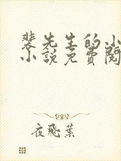 裴先生的小甜妻小说免费阅读