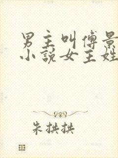 男主叫傅景琛的小说女主姓夏