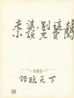 老婆,别这样 小说免费阅读