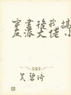 穿书后我搞到了反派大佬 小火子