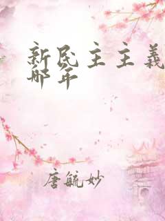 新民主主义革命哪年