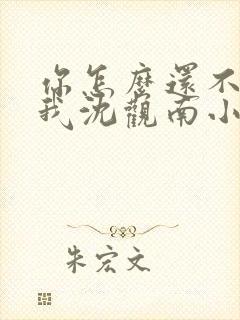 你怎么还不来哄我沈观南小说免费阅读