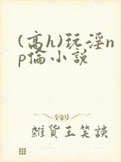 (高h)玩淫np伦小说