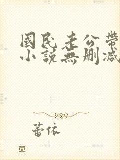 国民老公带回家小说无删减