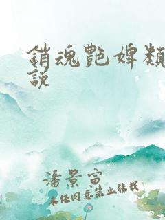 销魂艳婢类似小说