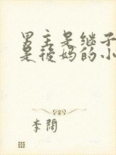 男主是继子女主是后妈的小说