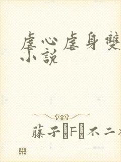 虐心虐身双男主小说