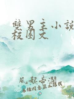 双男主小说推荐校园文