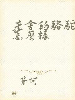 老舍的骆驼祥子怎么样