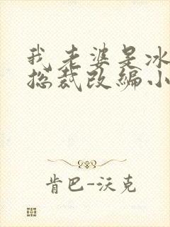 我老婆是冰山女总裁改编小说