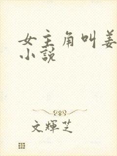 女主角叫姜禾的小说