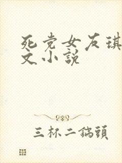 死党女友琪琪全文小说