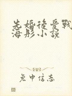 先婚后爱战胤和海彤小说