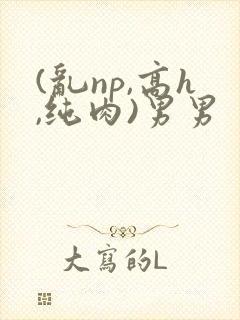 (乱np,高h,纯肉)男男