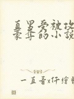 直男受被攻强取豪夺的小说