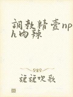 调教精壶np高h肉辣