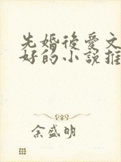 先婚后爱文笔超好的小说推荐
