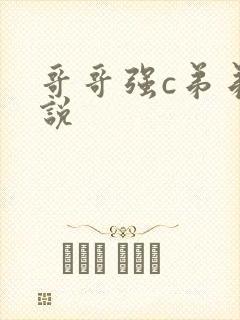 哥哥强c弟弟小说