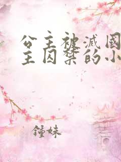 公主被灭国被男主囚禁的小说