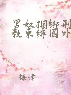 男奴捆绑刑具调教束缚国外