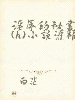 淫辱的秘书调教(h)小说灌精
