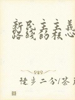 新民主主义革命路线的核心